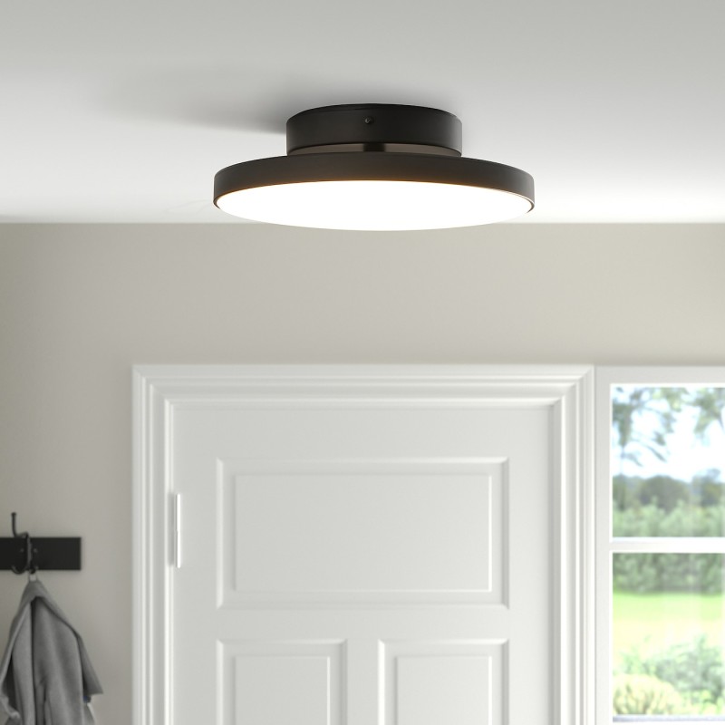 Светодиодный потолочный светильник KABOMBA, матовый/черный, 36 см
