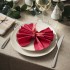 ФАНТАСТИСК Салфетки, красные, 40х40 см