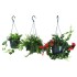 Эсхинантус (Aeschynanthus) — горшечное растение, 15 см.